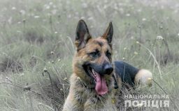 На Дніпропетровщині службовий пес практично розкрив вбивство