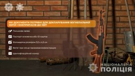 На Вінниччині понад 260 осіб задекларували знайдену зброю та боєприпаси