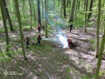 На варті лісів: рятувальники та лісники провели спільні навчання на Вінниччині