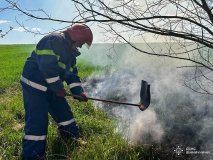 На Вінниччині знову зросла кількість пожеж в природних екосистемах