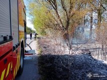 На Вінниччині сталося майже три десятка пожеж - згоріли тварини, пташині гнізда