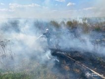  33 пожежі за добу: на Вінниччині вогонь охопив екосистеми, житло та автівки