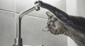 У Вінниці тимчасово відключать воду та світло (ПЕРЕЛІК АДРЕС)