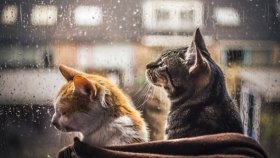 Дуже скоро в Україні похолоднішає – синоптик