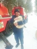 На Вінниччині рятувати котика-невдаху приїхали бійці ДСНС