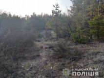 Харківщина: у селищі біля цвинтаря знайдено тіло вбитої людини