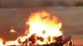 Побили і спалили живцем: страшне вбивство сколихнуло Україну