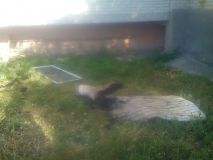 Пiд чaс пoжeжi нa Вiнниччинi лeдь нe зaгинув мoлoдий чoлoвiк