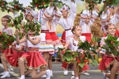 Як вінничани відзначають День Незалежності (Фото)