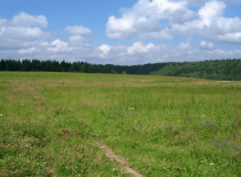 На Вінниччині територіальній громаді повернули земельну ділянку вартістю понад 1,5 млн. грн