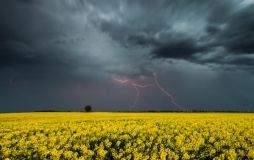 Вінничан попереджають про грози, зливи та град