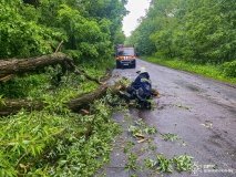 Нa Вінничині ліквідовувaли нaслідки негоди