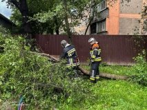 Негода на Вінниччині: рятувальники розчищали дороги та відкачували воду