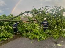 У Вінниці та області рятувальники прибирали з дороги повалені дерева