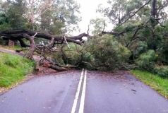 На Вінниччині негода наробила лиха