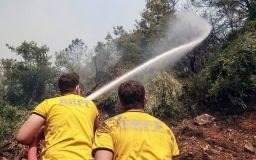 У Туреччині заарештували сімох росіян, підозрюваних у підпалі лісу
