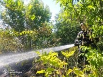 У Вінниці та області горіла суха трава - пожежники попереджають про небезпеку