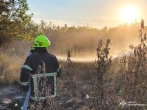13 пожеж за добу: на Вінниччині знову горіла суха трава — причина та ж сама