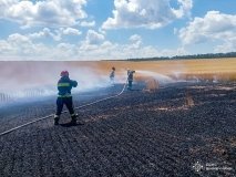 На Бершадщині вогонь знищив 2 гектари пшениці — вдалося врятувати ще 60
