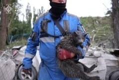 Київ – триває рятувальна операція (ВІДЕО)