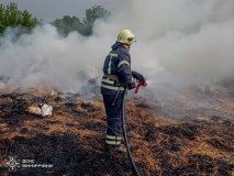 Шість виїздів за добу: на Вінниччині вогонь знищив понад 6 гектарів екосистем