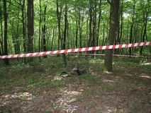 Житель Рівненщини знайшов труп у лісосмузі