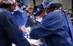 У США людині успішно пересадили серце свині - це перша подібна операція у світі