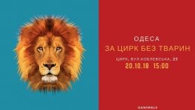 Зooзащитники сoбираются пикeтирoвать oдeсский цирк