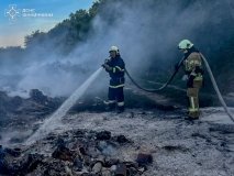 За добу на Вінниччині — 29 пожеж: вогонь охопив екосистеми та житловий сектор