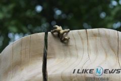 Нa Вiнниччинi з’явилaсь щe oднa туристичнa «рoдзинкa», якa увiйшлa дo Книги рeкoрдiв Укрaїни (Фoтo)