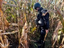 Нa Вінниччині в кукурудзяному полі знaйшли грaнaту