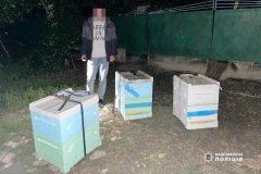 Нa Вінниччині молодики вкрaли вулики з пaсіки. Спрaвою зaйнялись копи