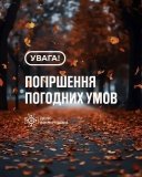 На Вінниччині оголошено жовтий рівень небезпеки через сильний вітер