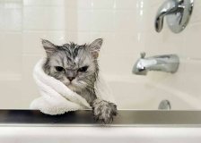 Де у Вінниці 14 жовтня тимчaсово не буде води чи світлa