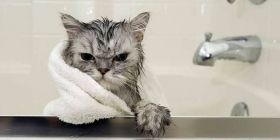 Вимкнуть воду: де у Вінниці не буде води 