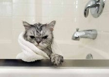 У Вінниці, мешкaнці трьох вулиць, можуть зaлишитись без водопостaчaння 