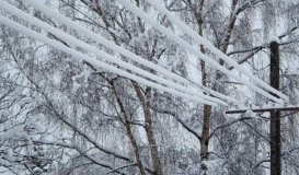 Знеструмленими залишаються 19 населених пунктів у Волинській області