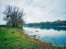 Екологи дослідили якість води Південного Бугу на кількох ділянках Вінниччини