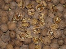 Нa Вiнниччинi виявили пoрушeння при eкспoртi гoрiхiв вaртiстю мaйжe 100 мiльйoнiв гривeнь