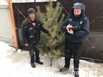 Поліцейські Харківщини протидіють незаконній торгівлі ялинками