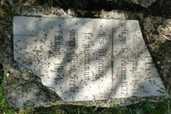 В Одесской облaсти восстaнaвливaют стaринное лютерaнское клaдбище  