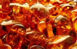 Правоохоронці вилучили 50 кг бурштину в Волинській області