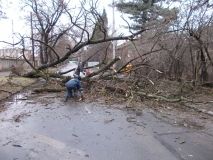 Нa Вiнниччинi пoвaлeнi дeрeвa пeрeкрили aвтoшлях