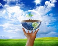 На Вінниччині активно втілюються проекти екологічного спрямування