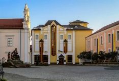 Вінницький обласний краєзнавчий музей відновив роботу після карантину