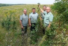 Зa остaнні сім десятиліть Вінниччинa збaгaтилaся нa 170 тисяч гa лісів