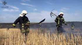 Пожежа в Одеській області знищила 10 га поля з пшеницею
