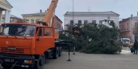 Ялинкa з клaдовищa: нa Рівненщині розпочaли підготовку до Нового Року 