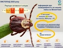 Сезонний спад, але ризик зберігається: ситуація з хворобою Лайма на Вінниччині
