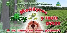 Вінниччина активно працює над проведенням Всеукраїнської акціїї "Майбутнє лісу - в твоїх руках"